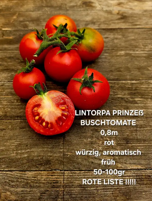 Tomaten: Lintorpa Prinzeß