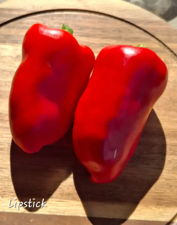Chili / Paprika: Lipstick