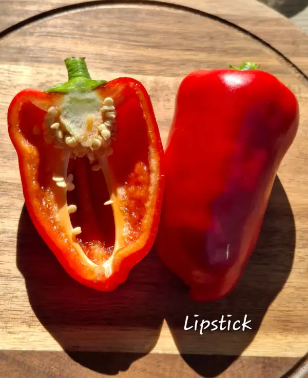 Chili / Paprika: Lipstick