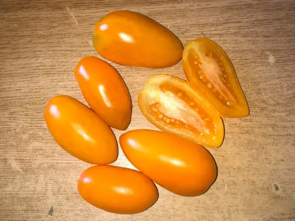 Tomaten: Lisichka