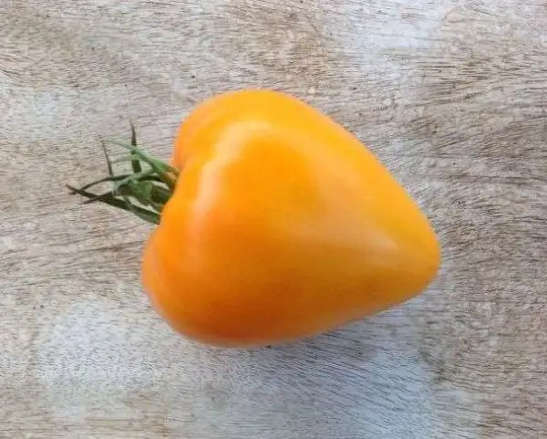 Tomaten: Liskin Nos