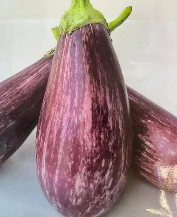 Auberginen: Listada de Gandia