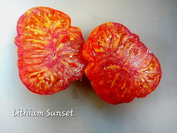 Tomaten: Lithium Sunset