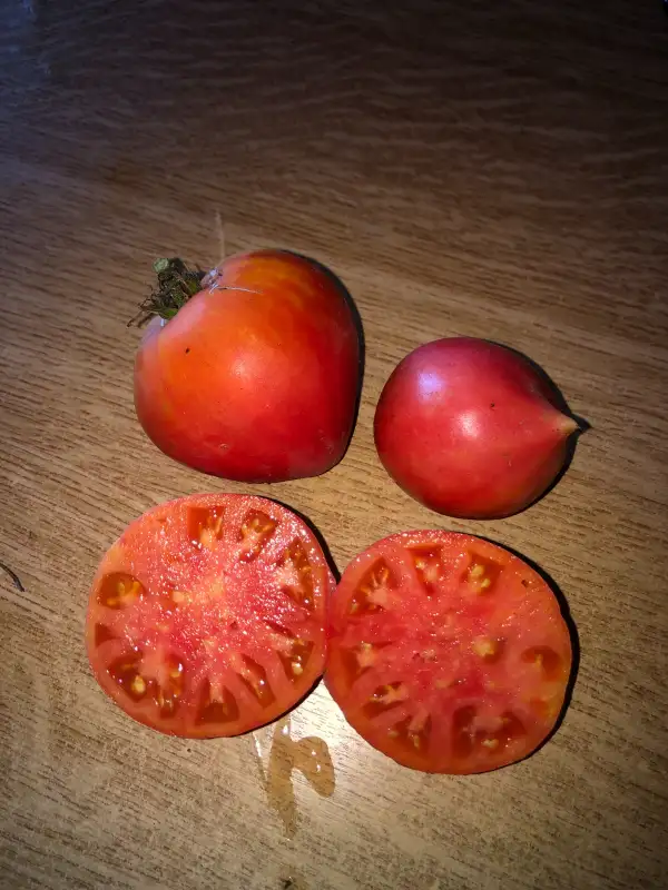 Tomaten: Lithuanian Crested Pink