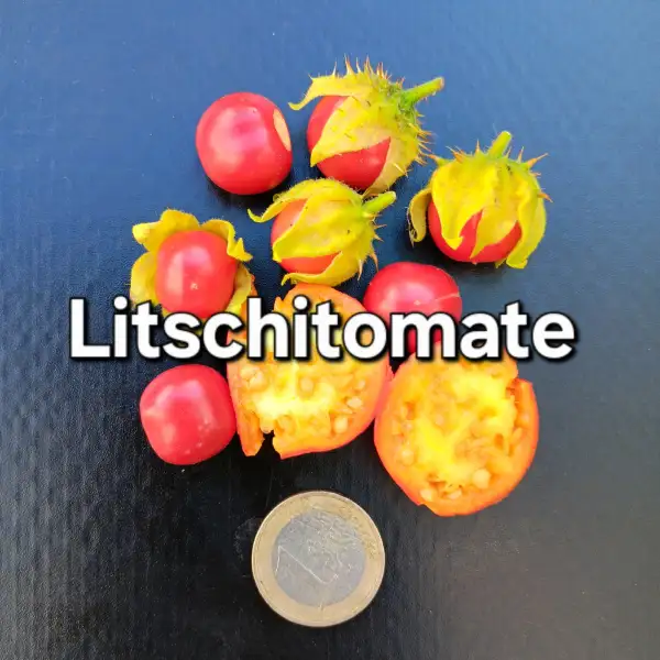 Beeren: Litschitomate