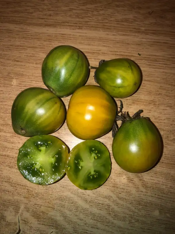 Tomaten: Little Green Bag