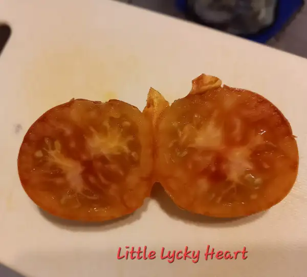 Tomaten: Little Lucky Heart