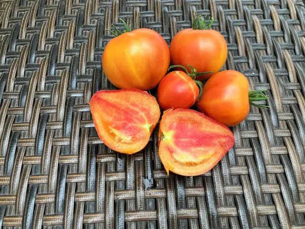 Tomaten: Little Lucky Heart