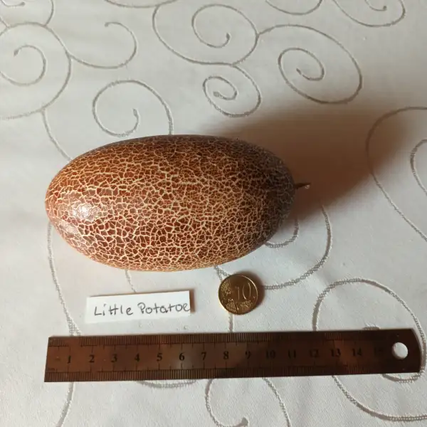 Gurken: Little Potaeto