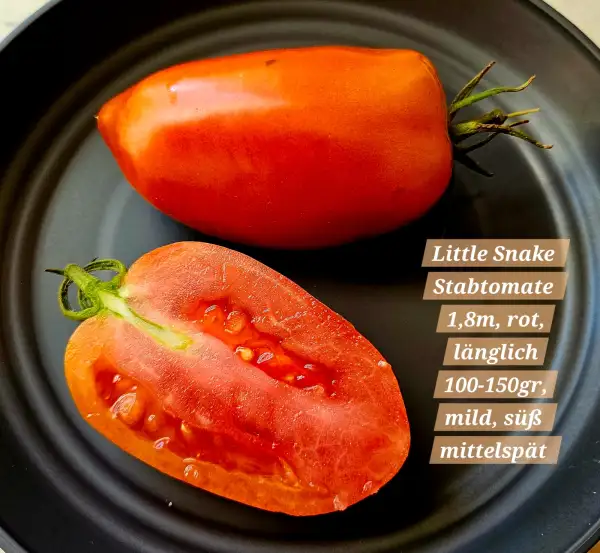 Tomaten: Little Snake