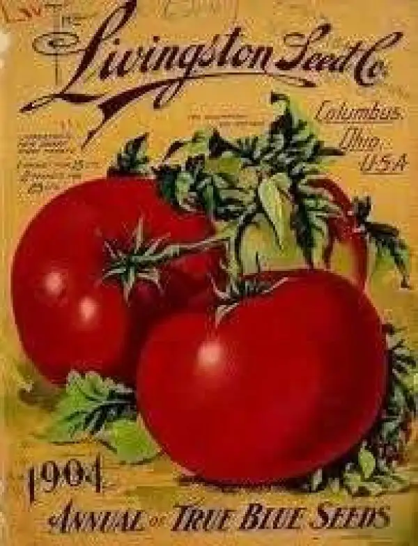 Tomaten: Livingston’s Globe