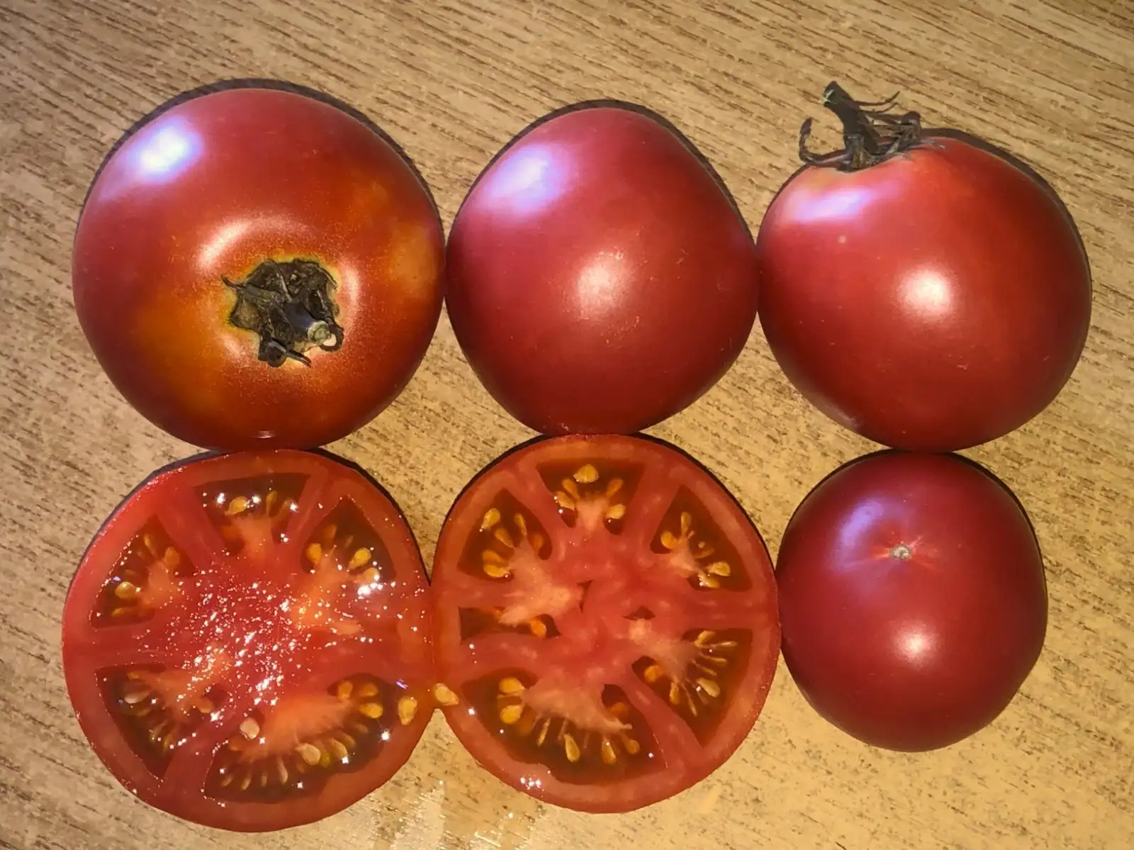 Tomaten: Livingston