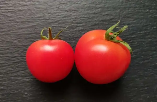 Tomaten: Ljana Rosovaja