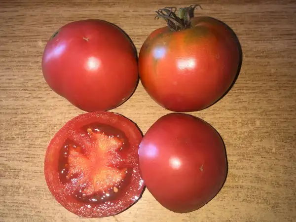 Tomaten: Ljana Rosovaja