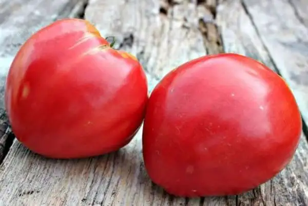 Tomaten: Ljubimyi Prazdnik