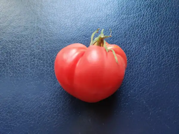 Tomaten: Ljubimyi Prazdnik