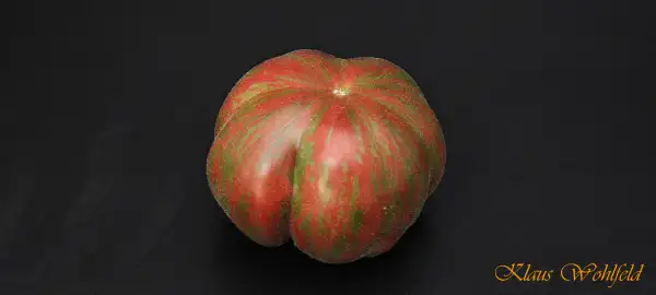 Tomaten: Loaghtan woolies