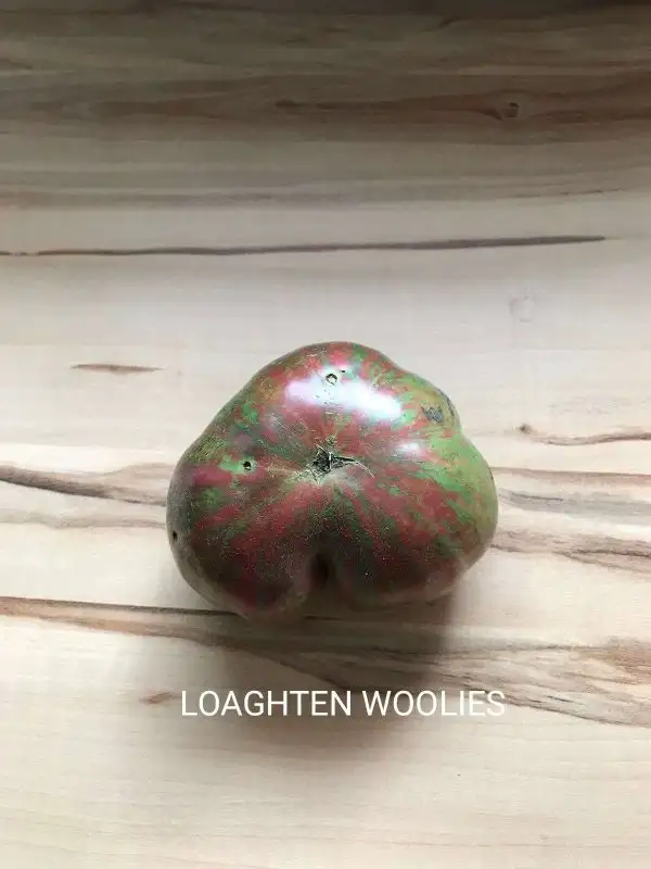 Tomaten: Loaghten Woolies