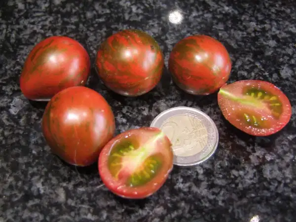 Tomaten: Lois Baby Tiger MD - Zwergtomate
