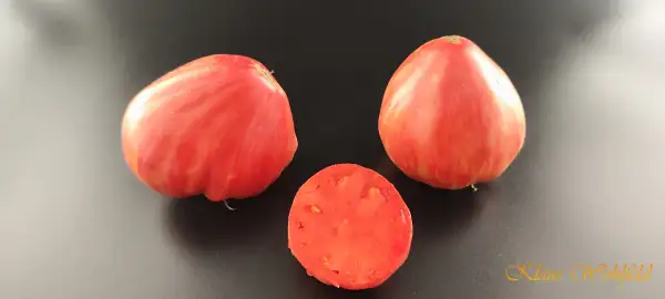 Tomaten: Long Tall Sally