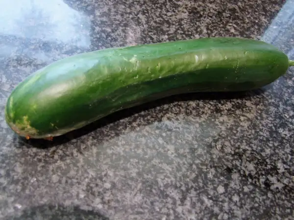 Gurken: Longo verde degli ortolani