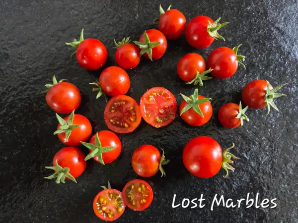 Tomaten: Lost Marbels