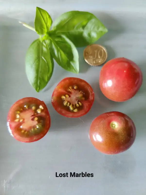 Tomaten: Lost Marbles