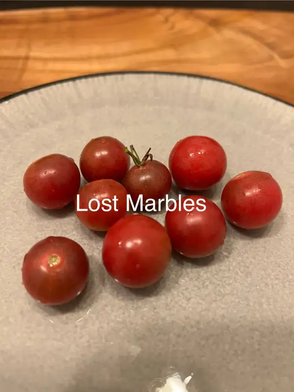 Tomaten: Lost Marbles