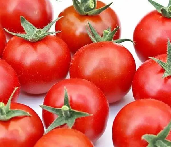 Tomaten: Lost Marbles