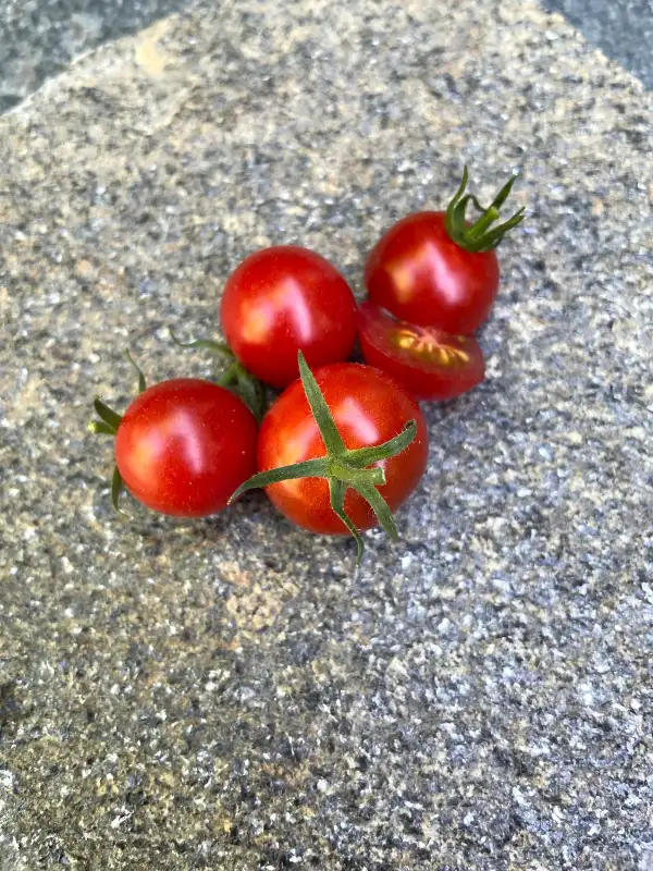 Tomaten: Lost Marbles
