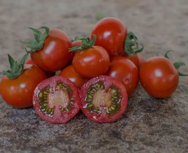 Tomaten: Lost Marbles