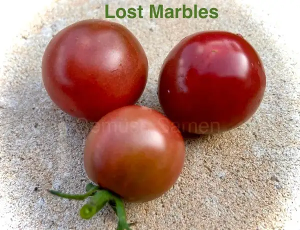 Tomaten: Lost Marbles