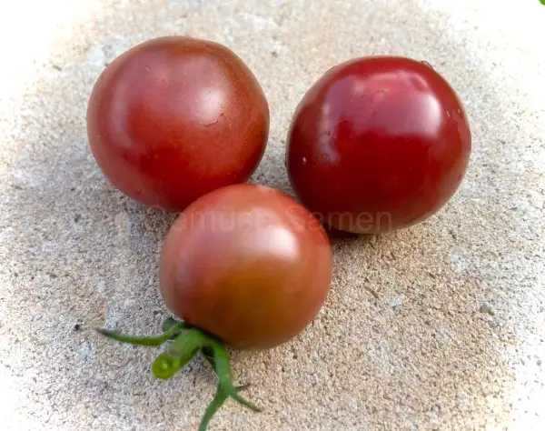 Tomaten: Lost Marbles