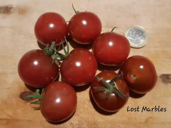 Tomaten: Lost Marbles