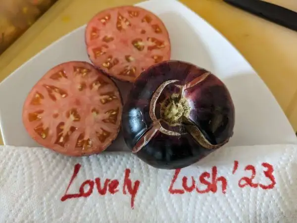 Tomaten: Lovely Lush