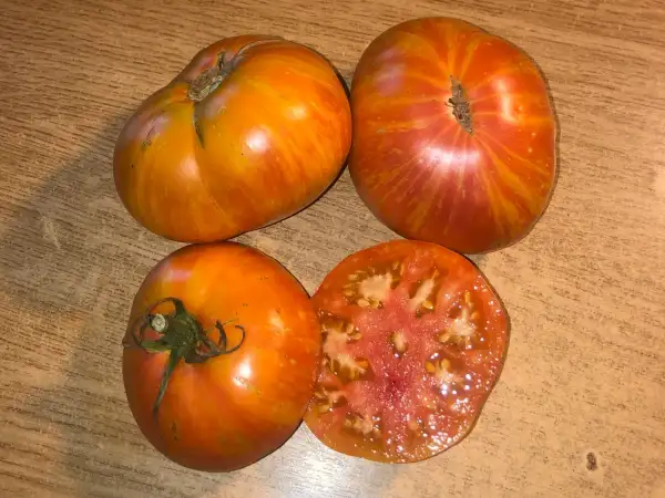 Tomaten: Lover