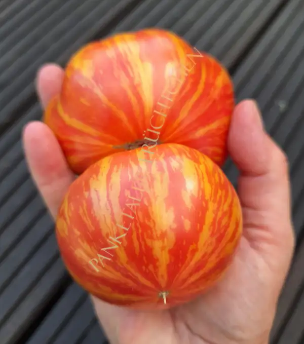 Tomaten: Lovers lunch