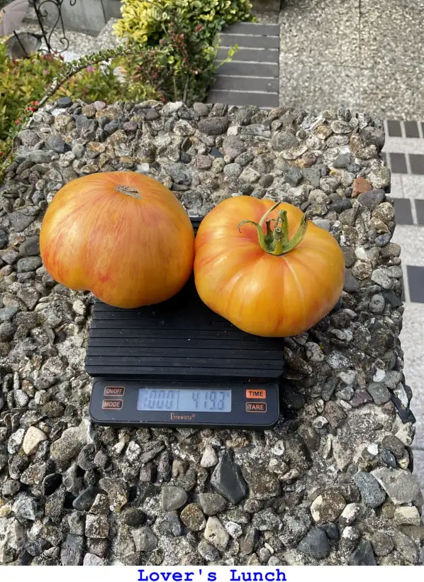 Tomaten: Lovers lunch