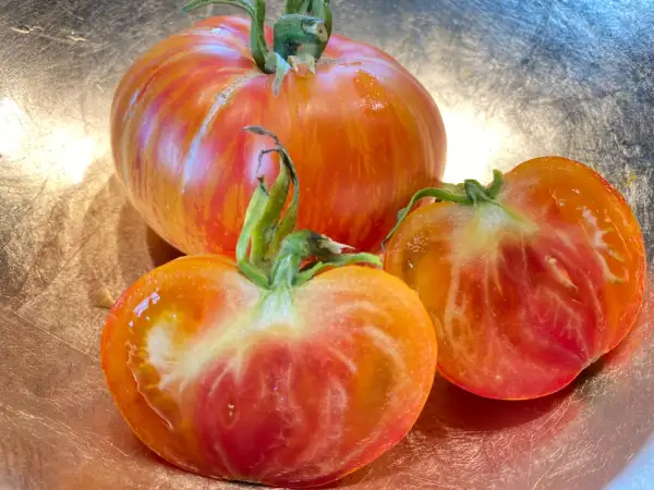 Tomaten: Lovers lunch