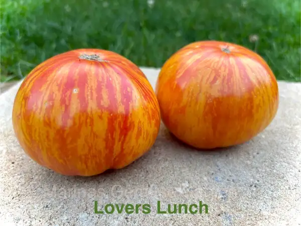 Tomaten: Lovers Lunge