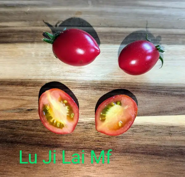 Tomaten: Lu Ji Lai