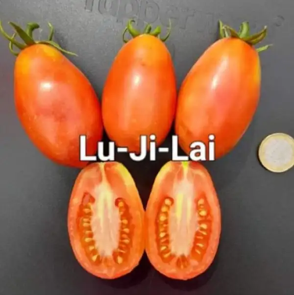 Tomaten: Lu Ji Lai