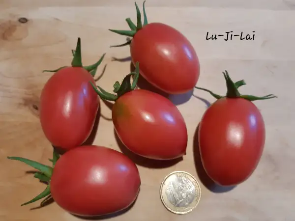 Tomaten: Lu-Ji-Lai