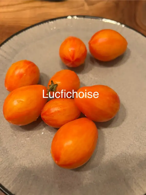 Tomaten: Lucfichoise