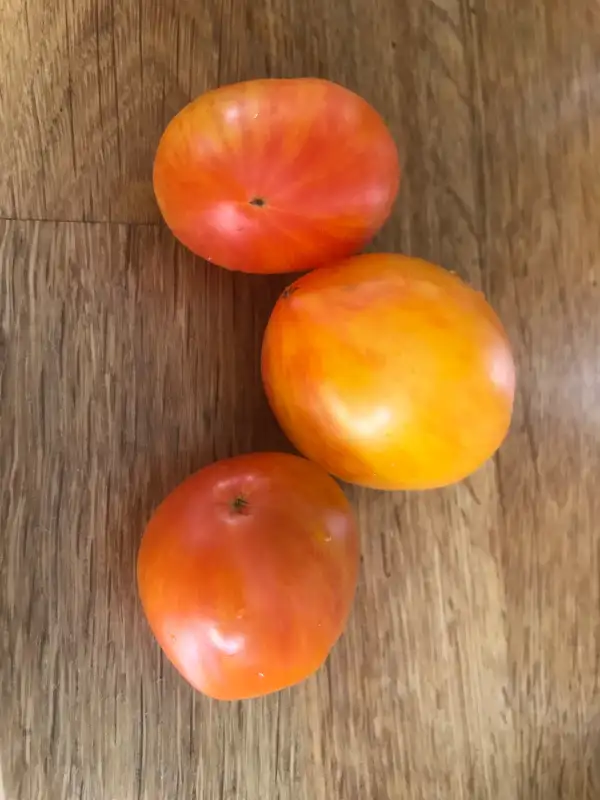 Tomaten: Lucfichoise