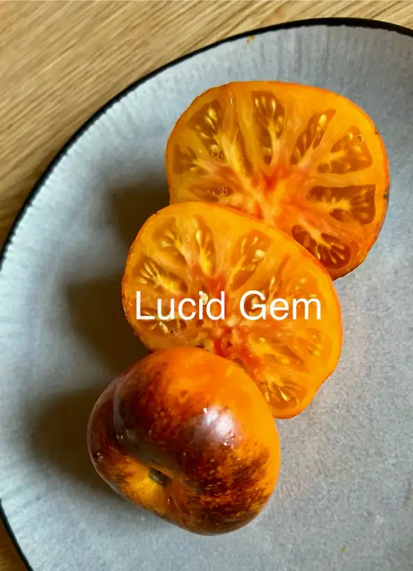 Tomaten: Lucid Gem