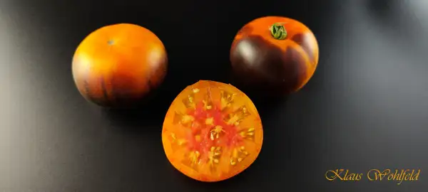 Tomaten: Lucid Gem
