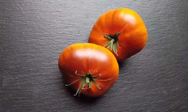 Tomaten: Lucid Gem