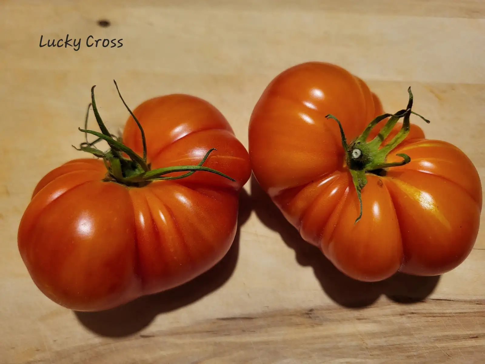 Tomaten: Lucky Cross