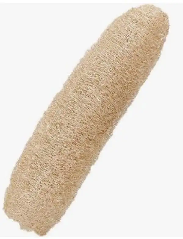 Gurken: Luffa / Schwammgurke